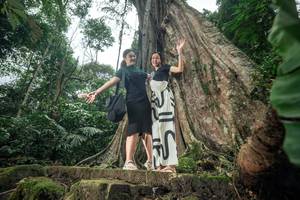 BIB: 
                            <button type="button" onclick="openModal(24810230)" class="btn btn-primary btn-sm float-right btn-popup" data-toggle="modal" data-target=".modal-high-quality">
                        <i class="fas fa-shopping-cart"></i> Add to Cart
                    </button>
                                            <button type="button" onclick="isThisMe(24810230, true)" class="btn btn-success btn-sm float-right btn-popup btn-isme hidden" data-toggle="tooltip" data-placement="bottom" title="นี่คือรูปของคุณใช่ไหม คลิกที่นี่เพื่อเอาเข้าอัลบั้ม">
                        <i class="fas fa-plus"></i> Add to album
                    </button>
                    <button type="button" onclick="isThisMe(24810230, false)" class="btn btn-warning btn-sm float-right btn-popup btn-isnotme hidden">
                        <i class="fas fa-ban"></i> Remove from album
                    </button>